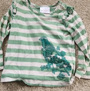 Hanna Andersson Green and Cream Striped Long Sleeve Tee 90cm